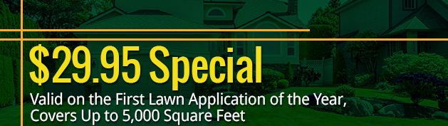 $29.95 Special - Offer Valid on the First Lawn Application of the Year, Covers Up to 5,000 Square Feet