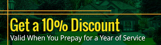 Get a 10% Discount - Valid When You Prepay for a Year of Service